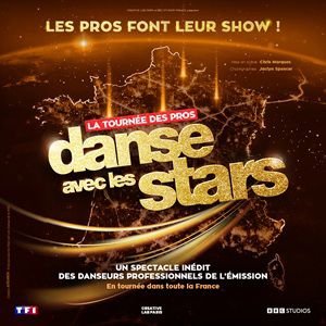 Danse Avec les Stars